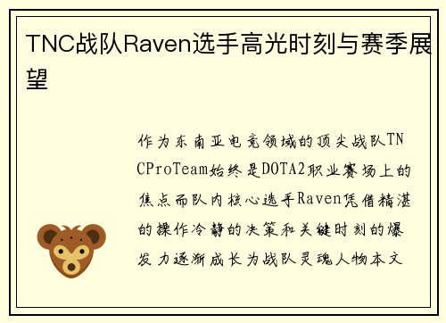TNC战队Raven选手高光时刻与赛季展望
